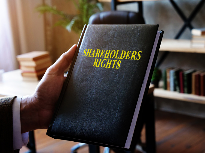 What is a Derivative Lawsuit in San Diego - Minority Shareholder Rights